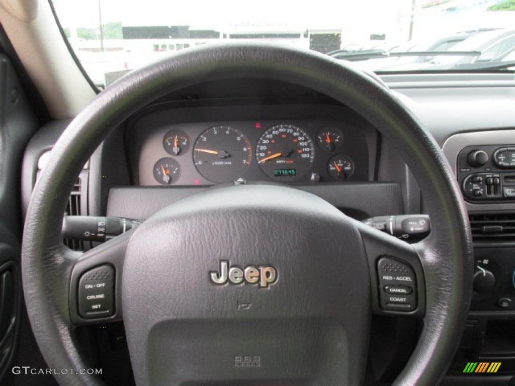 2003 Grand Cherokee Laredo 4x4 - Graphite Metallic / Dark Slate Gray photo #11