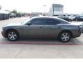 Light Sandstone Metallic - Charger SE Photo No. 4