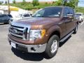 2012 Golden Bronze Metallic Ford F150 XLT SuperCrew 4x4  photo #5