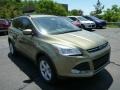 2013 Ginger Ale Metallic Ford Escape SE 1.6L EcoBoost 4WD  photo #1