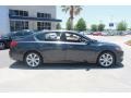 Graphite Luster Metallic - RLX  Photo No. 8