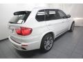 Alpine White - X5 xDrive 50i Photo No. 10
