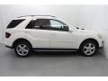 Arctic White - ML 350 4Matic Photo No. 2