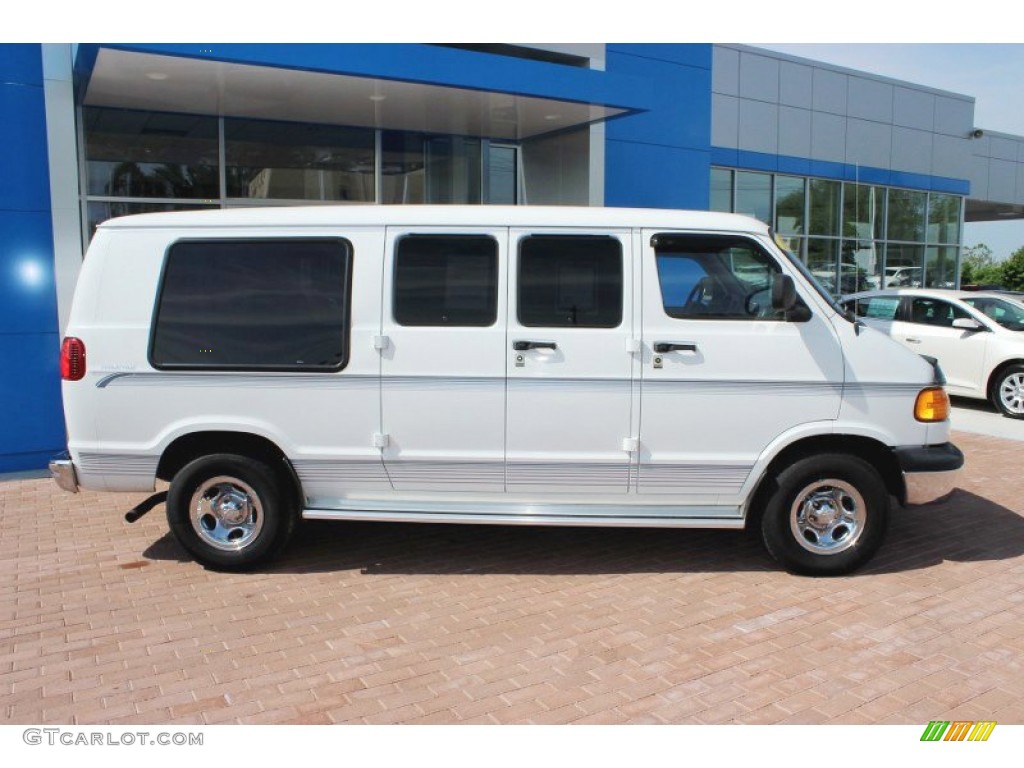 1999 Ram Van 1500 Passenger Conversion - Bright White / Blue photo #3