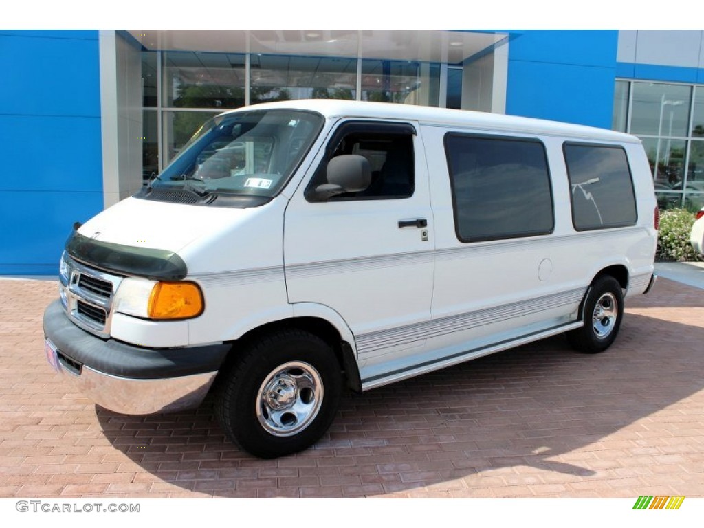 1999 Ram Van 1500 Passenger Conversion - Bright White / Blue photo #10