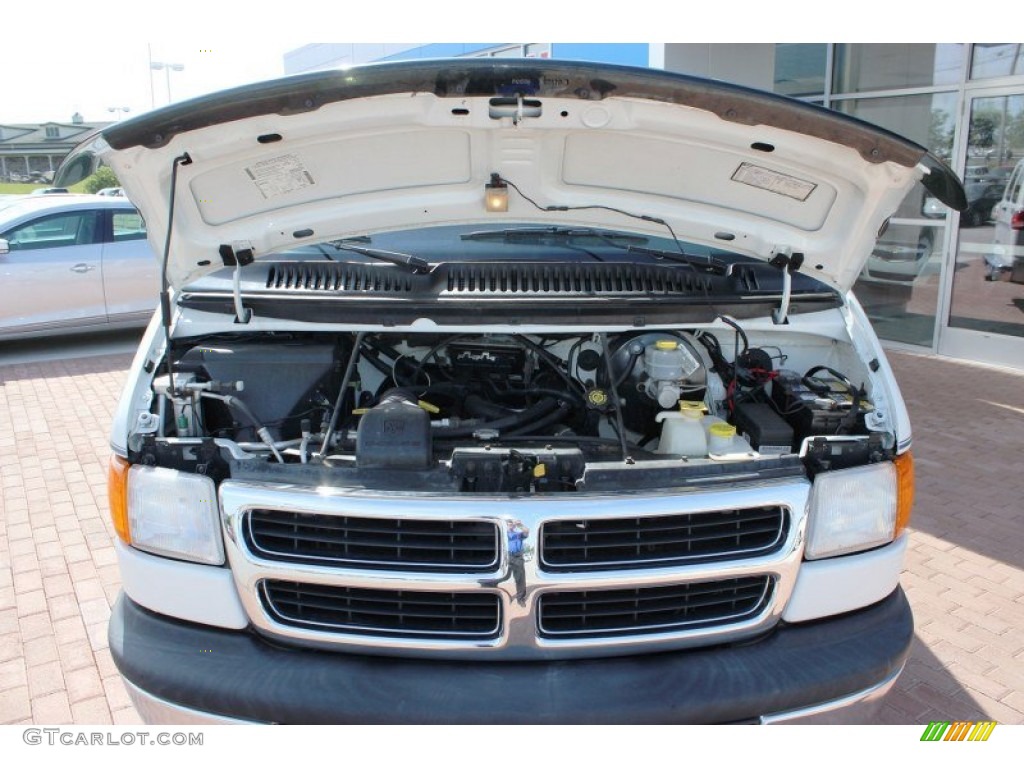 1999 Ram Van 1500 Passenger Conversion - Bright White / Blue photo #16