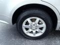 Light Platinum - SRX V6 Photo No. 9