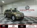 Golden Umber Mica 2010 Toyota Venza I4