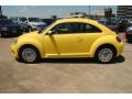 Yellow Rush - Beetle 2.5L Photo No. 3