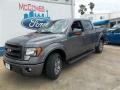 2013 Sterling Gray Metallic Ford F150 FX2 SuperCrew  photo #2