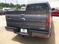 2013 Sterling Gray Metallic Ford F150 FX2 SuperCrew  photo #5