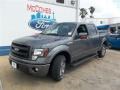 2013 Sterling Gray Metallic Ford F150 FX2 SuperCrew  photo #2