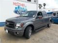 Sterling Gray Metallic - F150 FX2 SuperCrew Photo No. 2