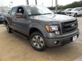 2013 Sterling Gray Metallic Ford F150 FX2 SuperCrew  photo #7