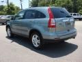 2010 Opal Sage Metallic Honda CR-V EX-L  photo #5