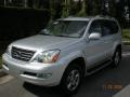 Titanium Silver Metallic - GX 470 Photo No. 2