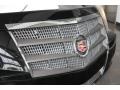 Black Raven - CTS Sedan Photo No. 10