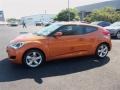 Vitamin C - Veloster  Photo No. 4