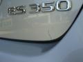 Tungsten Metallic - ES 350 Photo No. 30