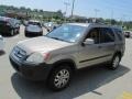 2005 Sahara Sand Metallic Honda CR-V EX 4WD  photo #5
