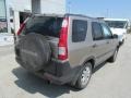2005 Sahara Sand Metallic Honda CR-V EX 4WD  photo #9