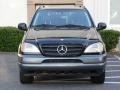 Black - ML 320 4Matic Photo No. 3