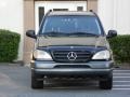 Black - ML 320 4Matic Photo No. 11