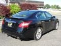 Super Black - Maxima 3.5 SV Photo No. 4