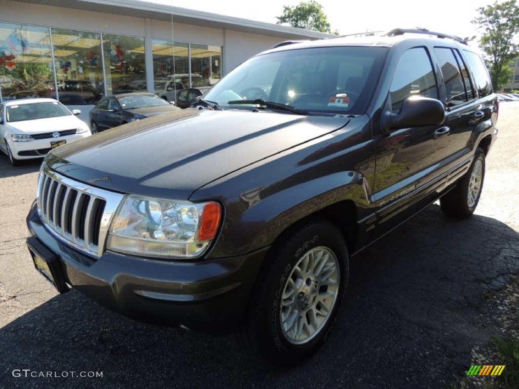 2004 Grand Cherokee Limited 4x4 - Graphite Metallic / Dark Slate Gray photo #3