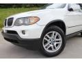 2006 Alpine White BMW X5 3.0i  photo #2