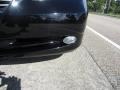 Black Onyx - ES 350 Photo No. 7