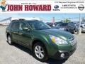 Cypress Green Pearl - Outback 2.5i Premium Photo No. 1