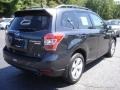 Dark Gray Metallic - Forester 2.5i Photo No. 6