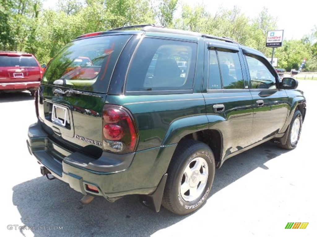 2002 TrailBlazer LS 4x4 - Forest Green Metallic / Medium Oak photo #7