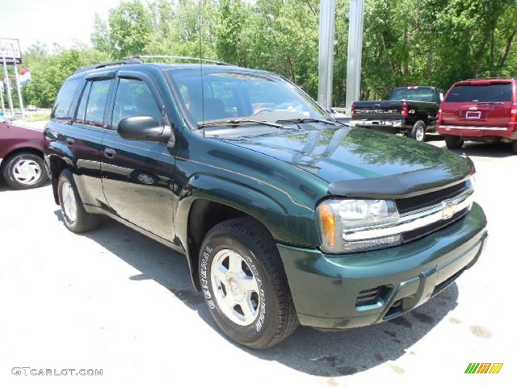 2002 TrailBlazer LS 4x4 - Forest Green Metallic / Medium Oak photo #10