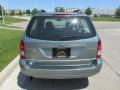 2006 Light Tundra Metallic Ford Focus ZXW SES Wagon  photo #4