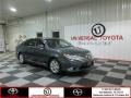 Magnetic Gray Metallic - Avalon  Photo No. 1