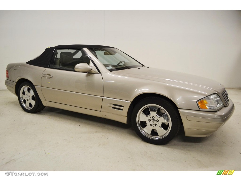 1999 SL 500 Roadster - Smoke Silver Metallic / Java photo #2