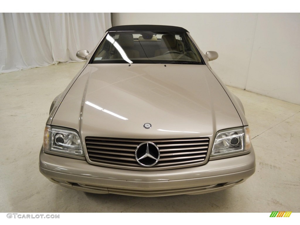 1999 SL 500 Roadster - Smoke Silver Metallic / Java photo #4