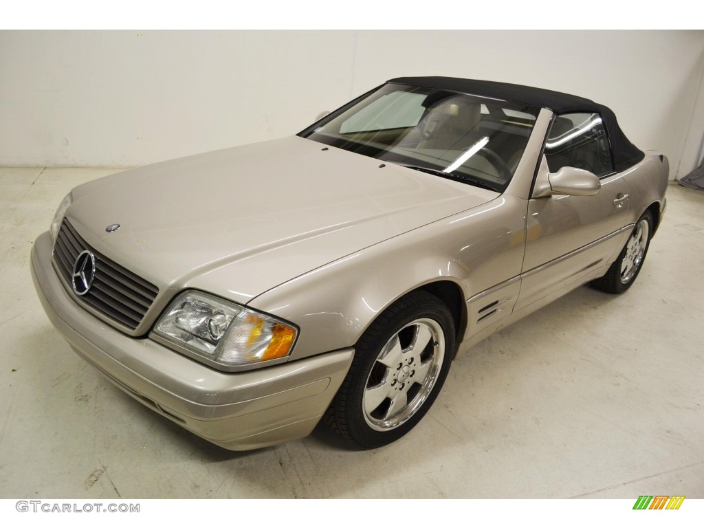 1999 SL 500 Roadster - Smoke Silver Metallic / Java photo #5