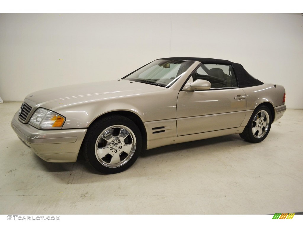 1999 SL 500 Roadster - Smoke Silver Metallic / Java photo #6