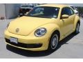 Yellow Rush - Beetle 2.5L Photo No. 3