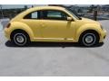 Yellow Rush - Beetle 2.5L Photo No. 11