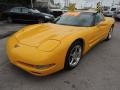 Milliennium Yellow 2001 Chevrolet Corvette Coupe Exterior