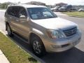 2006 Savannah Beige Metallic Lexus GX 470  photo #6
