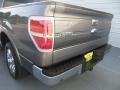 Sterling Grey Metallic - F150 Lariat SuperCrew Photo No. 20