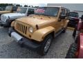 Dune - Wrangler Unlimited Sahara 4x4 Photo No. 1