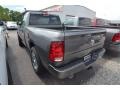 Mineral Gray Metallic - 1500 Express Regular Cab Photo No. 3