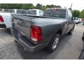 Mineral Gray Metallic - 1500 Express Regular Cab Photo No. 4
