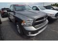 Mineral Gray Metallic - 1500 Express Regular Cab Photo No. 5